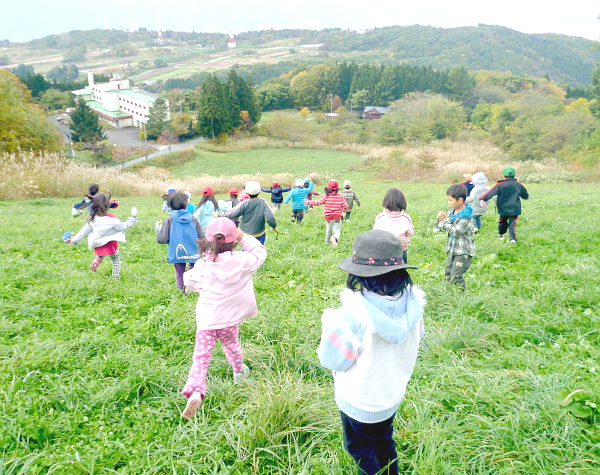 はらっぱ風景